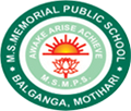 M.S. Memorial Public School